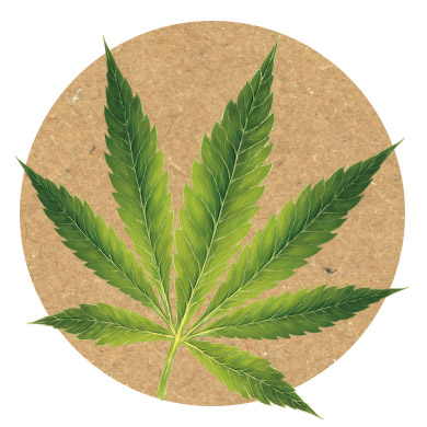 cannabis_symbol.jpg